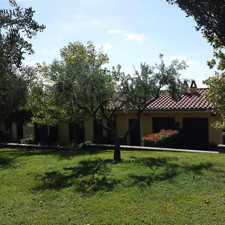 Agriturismo La Vite E Gli Ulivi Villa Ariccia Buitenkant foto