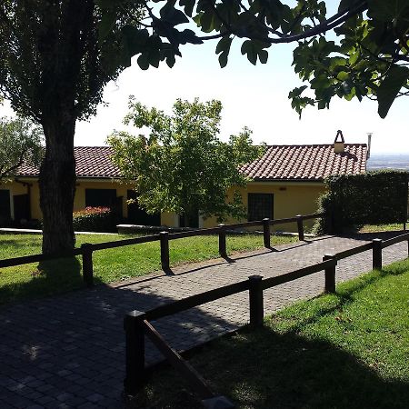 Agriturismo La Vite E Gli Ulivi Villa Ariccia Buitenkant foto