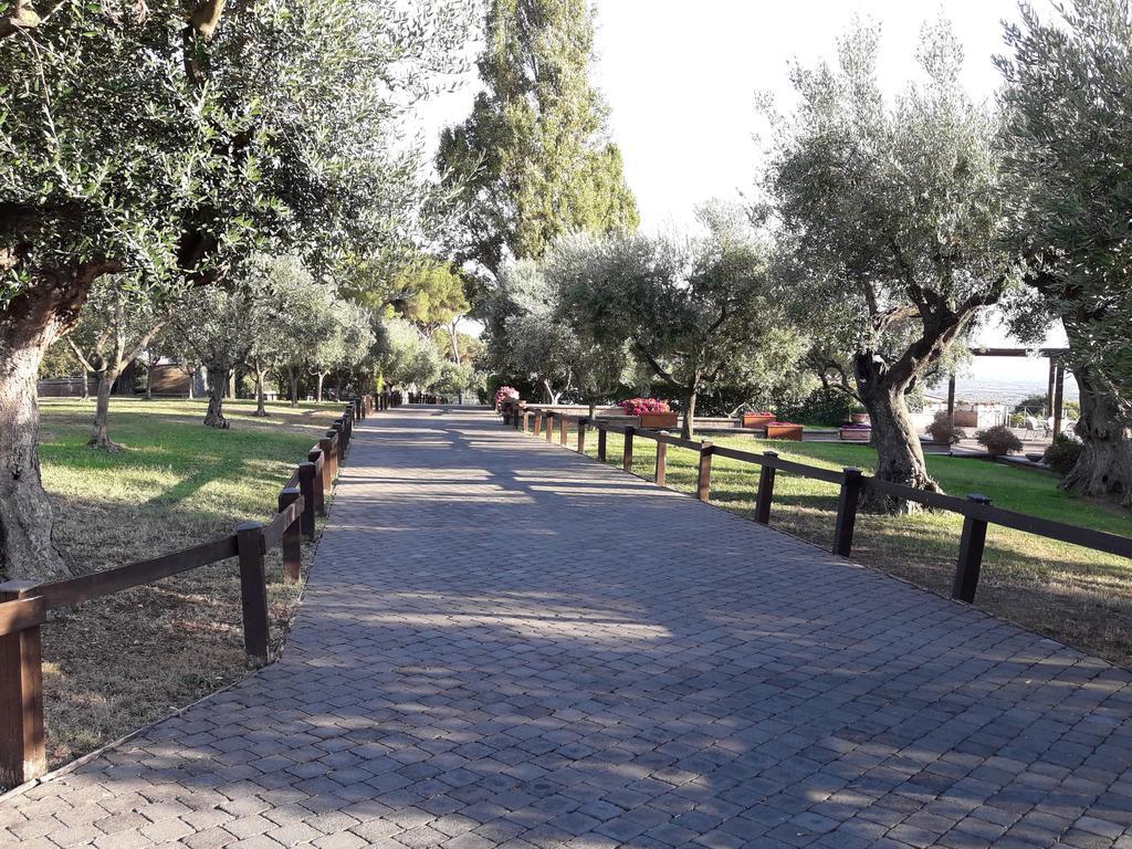 Agriturismo La Vite E Gli Ulivi Villa Ariccia Buitenkant foto