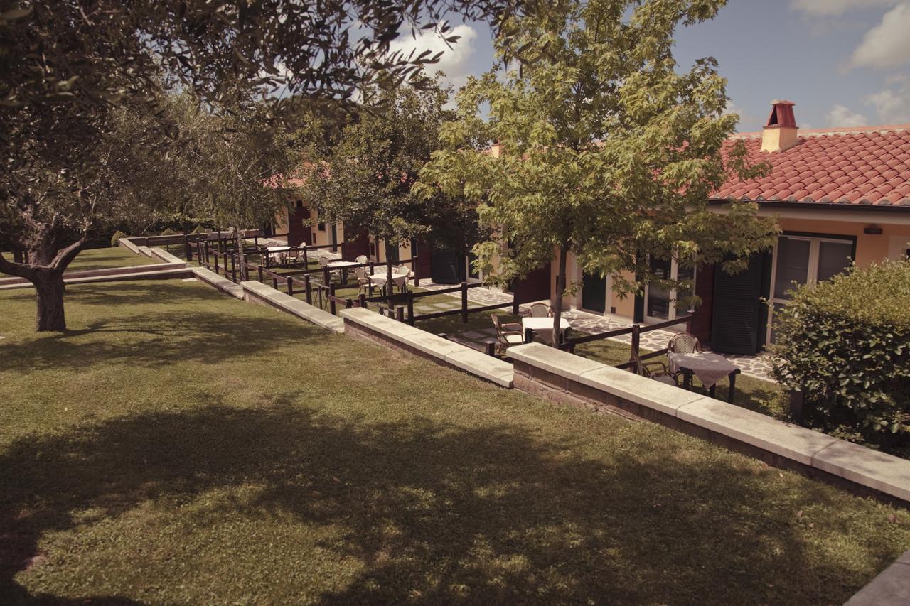Agriturismo La Vite E Gli Ulivi Villa Ariccia Buitenkant foto