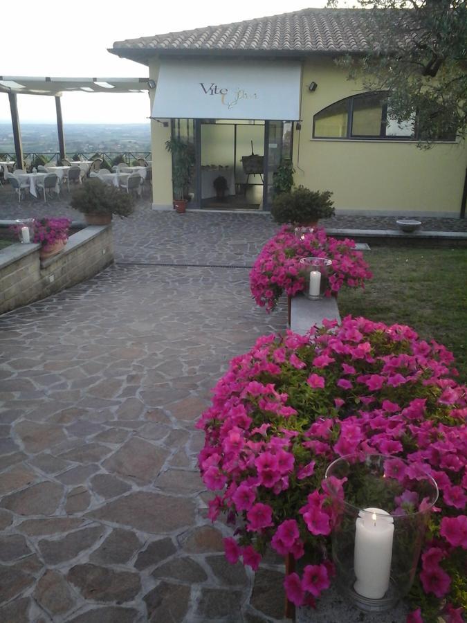 Agriturismo La Vite E Gli Ulivi Villa Ariccia Buitenkant foto