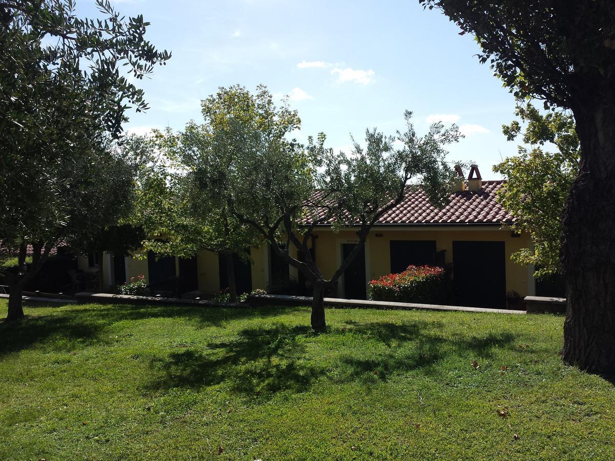 Agriturismo La Vite E Gli Ulivi Villa Ariccia Buitenkant foto