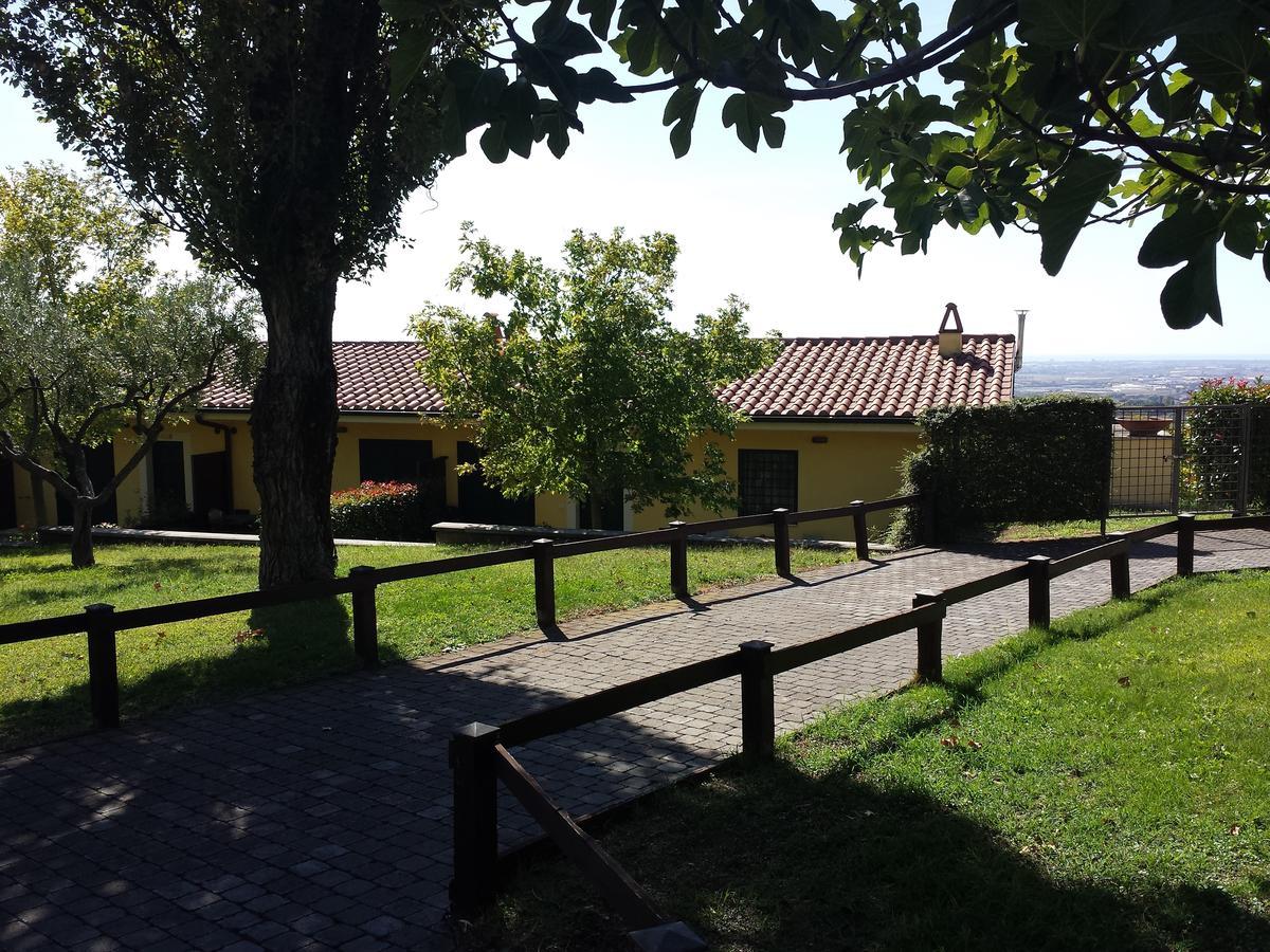 Agriturismo La Vite E Gli Ulivi Villa Ariccia Buitenkant foto